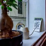 Central Garden Studio